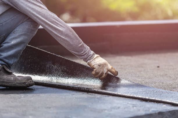 Professional Interior Drainage System technician working in Potterville, MI